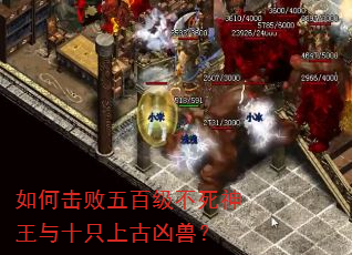 ��λ�����ټ�����������ʮֻ�Ϲ����ޣ�
