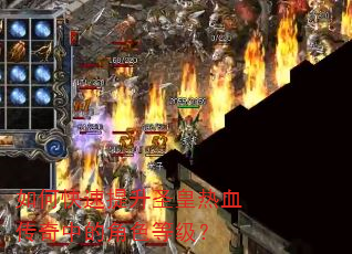 如何快速提升圣皇热血传奇中的角色等级? 如何快速提升圣皇热血传奇中的角色等级?