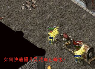 如何快速提升灵域角色等级? 如何快速提升灵域角色等级?