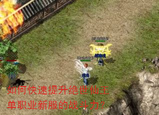 如何快速提升绝世仙王单职业新服的战斗力? 如何快速提升绝世仙王单职业新服的战斗力?