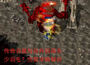 传奇羽翼每级升级需多少羽毛?完整攻略解析 传奇羽翼每级升级需多少羽毛?完整攻略解析