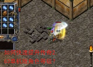如何快速提升传奇2.63单机版角色等级? 如何快速提升传奇2.63单机版角色等级?