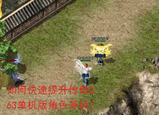 如何快速提升传奇2.63单机版角色等级? 如何快速提升传奇2.63单机版角色等级?