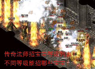 传奇法师招宝宝等级列表?不同等级能招哪些宝宝? 传奇法师招宝宝等级列表?不同等级能招哪些宝宝?