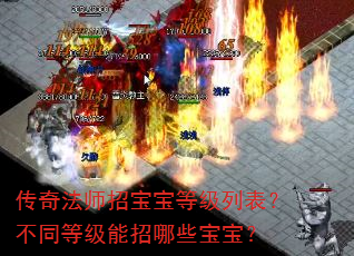 传奇法师招宝宝等级列表?不同等级能招哪些宝宝? 传奇法师招宝宝等级列表?不同等级能招哪些宝宝?