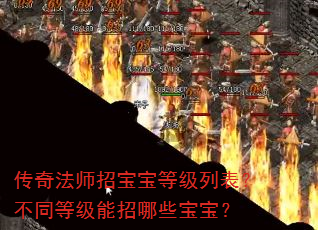 传奇法师招宝宝等级列表?不同等级能招哪些宝宝? 传奇法师招宝宝等级列表?不同等级能招哪些宝宝?
