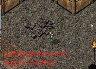 如何快速提升郭芙在传奇白日门中的等级? 如何快速提升郭芙在传奇白日门中的等级?