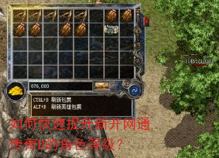 如何快速提升新开网通传奇D的角色等级? 如何快速提升新开网通传奇D的角色等级?