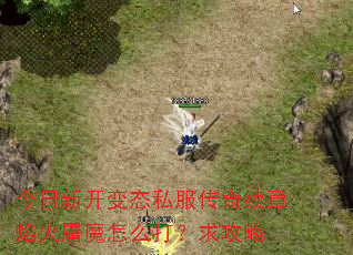 今日新开变态私服传奇续章焰火屠魔怎么打?求攻略 今日新开变态私服传奇续章焰火屠魔怎么打?求攻略