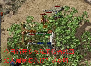 今日新开变态私服传奇续章焰火屠魔怎么打?求攻略 今日新开变态私服传奇续章焰火屠魔怎么打?求攻略