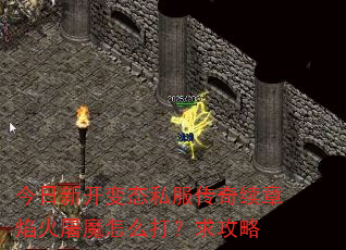 今日新开变态私服传奇续章焰火屠魔怎么打?求攻略 今日新开变态私服传奇续章焰火屠魔怎么打?求攻略