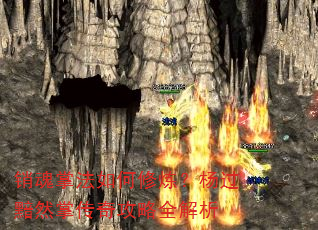 销魂掌法如何修炼?杨过黯然掌传奇攻略全解析 销魂掌法如何修炼?杨过黯然掌传奇攻略全解析