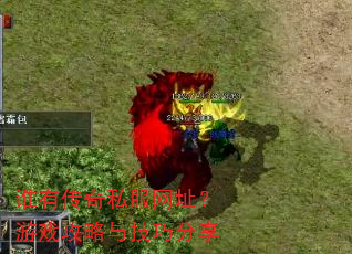 ˭�д���˽����ַ����Ϸ�����뼼�ɷ���