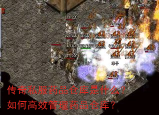 传奇私服药品仓库是什么?如何高效管理药品仓库? 传奇私服药品仓库是什么?如何高效管理药品仓库?