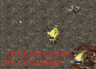 传奇私服与官方正版有何区别?新手如何选择? 传奇私服与官方正版有何区别?新手如何选择?