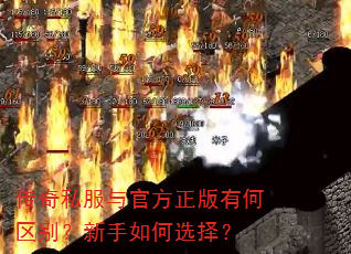 传奇私服与官方正版有何区别?新手如何选择? 传奇私服与官方正版有何区别?新手如何选择?