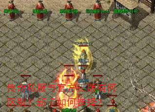 传奇私服与官方正版有何区别?新手如何选择? 传奇私服与官方正版有何区别?新手如何选择?