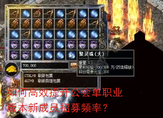 如何高效提升公会单职业版本新成员招募频率? 如何高效提升公会单职业版本新成员招募频率?