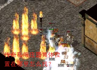 ����˽��ׯ԰����λ����������ô�ң�