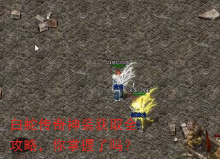 白蛇传奇神装获取全攻略,你掌握了吗? 白蛇传奇神装获取全攻略,你掌握了吗?