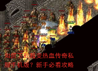 ������س�����Ѫ����˽���ֻ��棿���ֱؿ�����