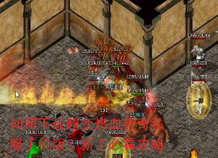 ������س�����Ѫ����˽���ֻ��棿���ֱؿ�����