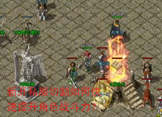 新开私服切割如何快速提升角色战斗力? 新开私服切割如何快速提升角色战斗力?