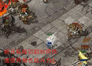 新开私服切割如何快速提升角色战斗力? 新开私服切割如何快速提升角色战斗力?