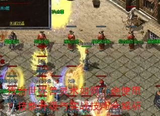 传奇世界兽灵术如何正确使用?技能升级与实战技巧全解析 传奇世界兽灵术如何正确使用?技能升级与实战技巧全解析