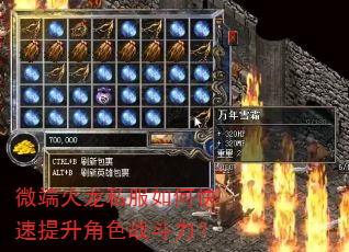 微端火龙私服如何快速提升角色战斗力? 微端火龙私服如何快速提升角色战斗力?