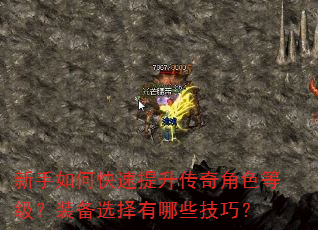 新手如何快速提升传奇角色等级?装备选择有哪些技巧? 新手如何快速提升传奇角色等级?装备选择有哪些技巧?