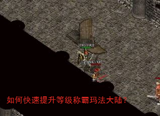 如何快速提升等级称霸玛法大陆? 如何快速提升等级称霸玛法大陆?