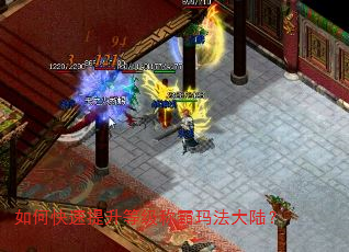 如何快速提升等级称霸玛法大陆? 如何快速提升等级称霸玛法大陆?