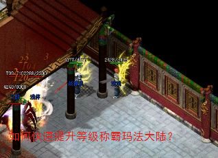 如何快速提升等级称霸玛法大陆? 如何快速提升等级称霸玛法大陆?