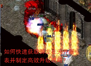 如何快速获取御龙在天开服表并制定高效升级攻略? 如何快速获取御龙在天开服表并制定高效升级攻略?