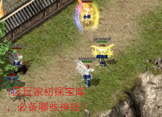 1区玩家初探宝库,必备哪些神技? 1区玩家初探宝库,必备哪些神技?
