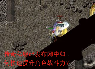传奇私服sf发布网中如何快速提升角色战斗力? 传奇私服sf发布网中如何快速提升角色战斗力?