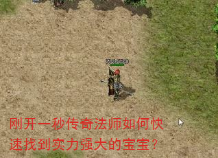 刚开一秒传奇法师如何快速找到实力强大的宝宝? 刚开一秒传奇法师如何快速找到实力强大的宝宝?