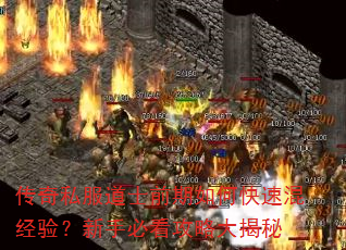 传奇私服道士前期如何快速混经验?新手必看攻略大揭秘 传奇私服道士前期如何快速混经验?新手必看攻略大揭秘