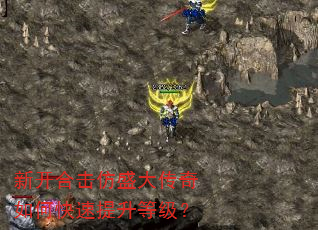 新开合击仿盛大传奇如何快速提升等级? 新开合击仿盛大传奇如何快速提升等级?