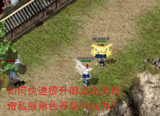 如何快速提升御龙在天传奇私服角色等级与战力? 如何快速提升御龙在天传奇私服角色等级与战力?