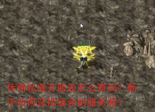 传奇私服开服表怎么查询?新手如何选择适合的服务器? 传奇私服开服表怎么查询?新手如何选择适合的服务器?