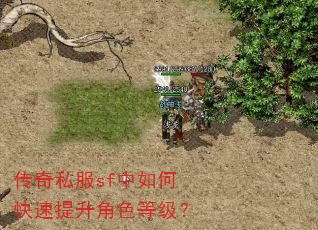 传奇私服sf中如何快速提升角色等级? 传奇私服sf中如何快速提升角色等级?