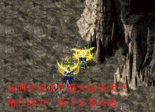 如何快速提升盛大纵横天下角色战力?新手必看攻略 如何快速提升盛大纵横天下角色战力?新手必看攻略