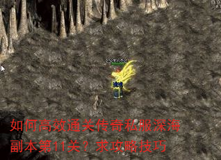 如何高效通关传奇私服深海副本第11关?求攻略技巧 如何高效通关传奇私服深海副本第11关?求攻略技巧