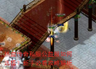 热血传奇私服公益服如何选择?新手必看攻略解析 热血传奇私服公益服如何选择?新手必看攻略解析