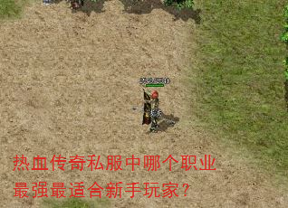 热血传奇私服中哪个职业最强最适合新手玩家? 热血传奇私服中哪个职业最强最适合新手玩家?