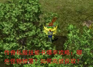 传奇私服技能书爆率攻略:哪些怪物掉落?如何高效获取? 传奇私服技能书爆率攻略:哪些怪物掉落?如何高效获取?