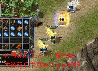 传奇SF新手必看?奇怪版本游玩后常见操作盲点解析 传奇SF新手必看?奇怪版本游玩后常见操作盲点解析