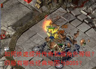 ��ο�����������˽����ɫ�ȼ������ɷ�����Щ�����ͼ��BOSS��